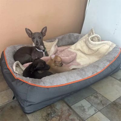CANAPÉ POUR CHIEN – ORTHOCANAP™