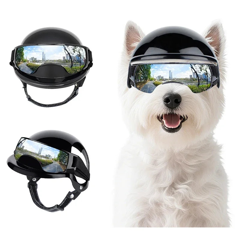 Casque Et Lunette De Soleil Pour Chien