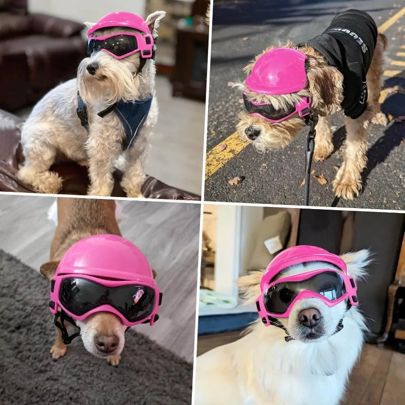 Casque Pour Chien Avec Lunettes De Soleil Anti-UV