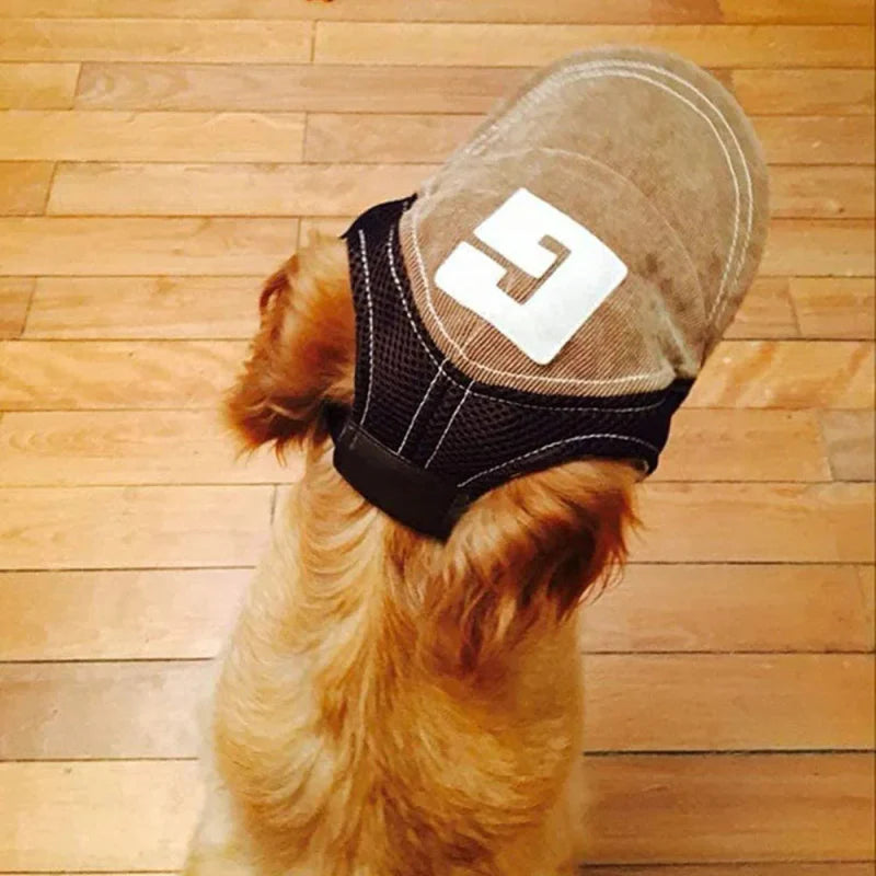Casquette Américaine Chien