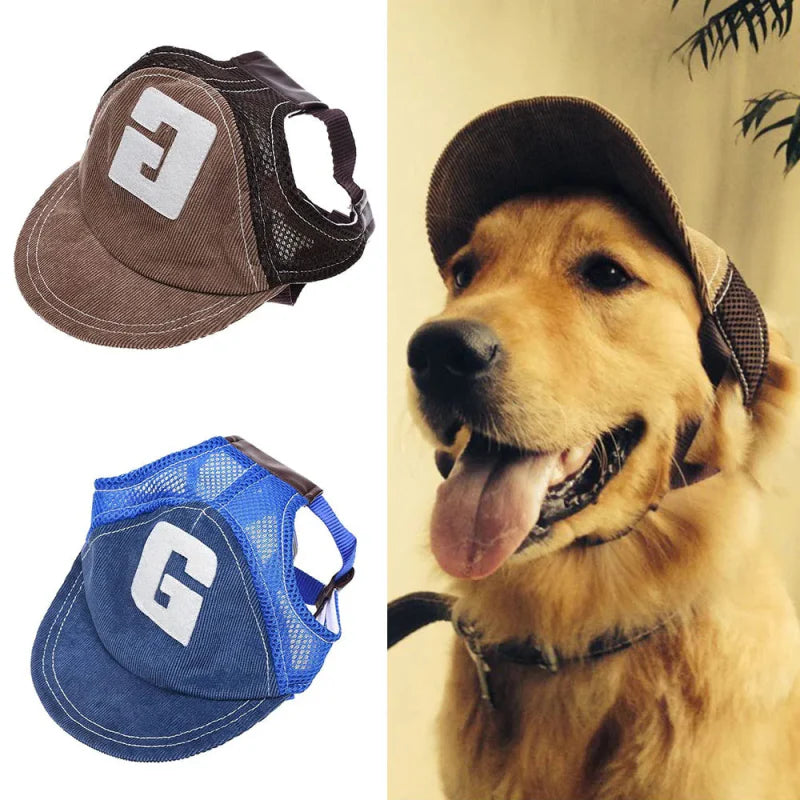 Casquette Américaine Chien