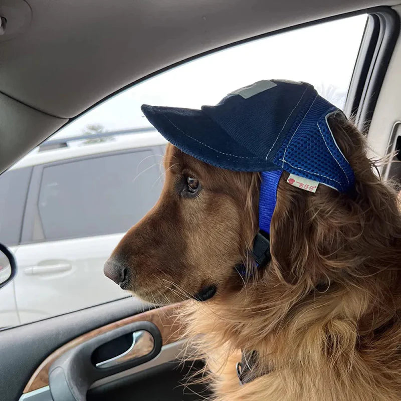 Casquette Américaine Chien