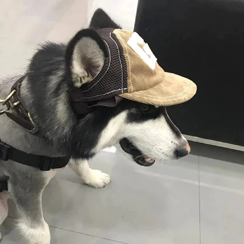Casquette Américaine Chien