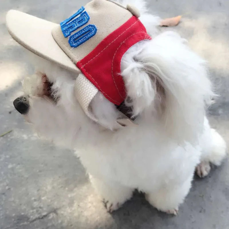 Casquette Baseball Chien