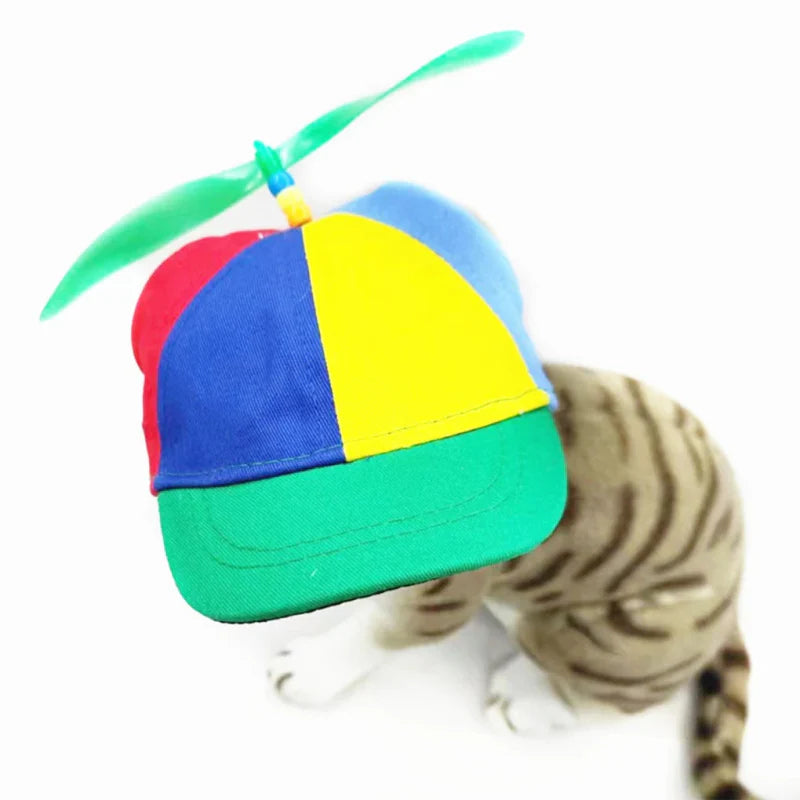 Casquette Chien Hélice