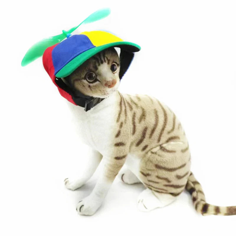 Casquette Chien Hélice