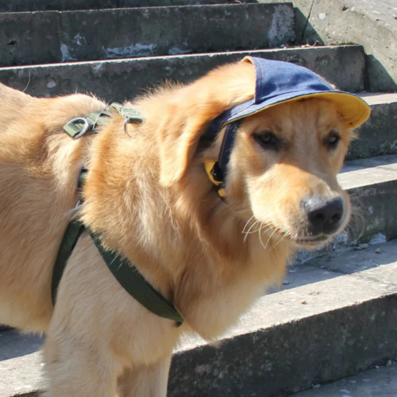 Casquette en Jean pour Chien
