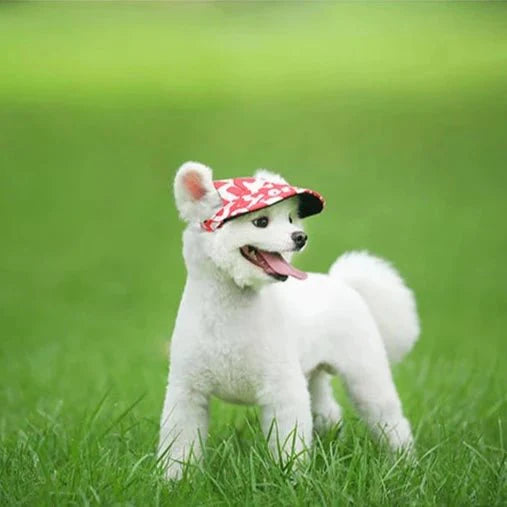 Casquette Fleurs pour Chien