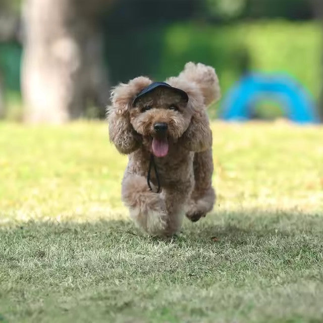 Mini Casquette Chien