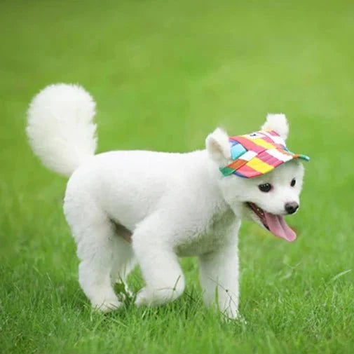 Casquette Multicolore Chien