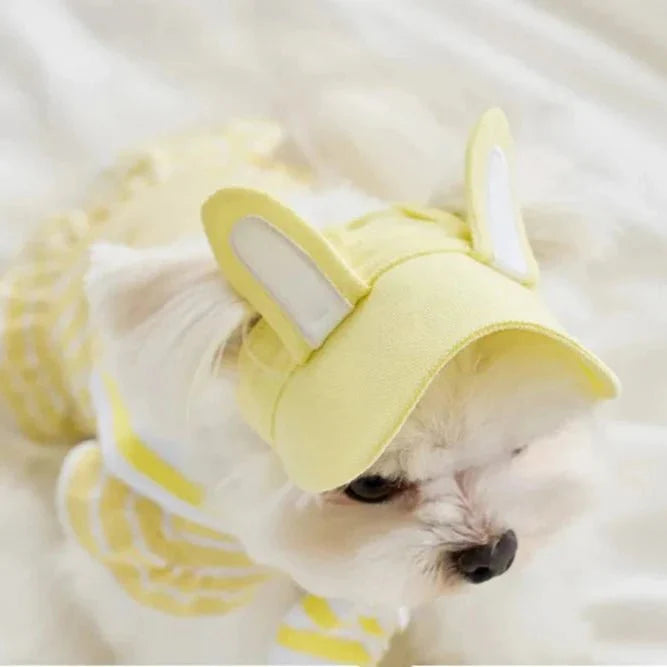Casquette Oreilles Lapin pour Chien
