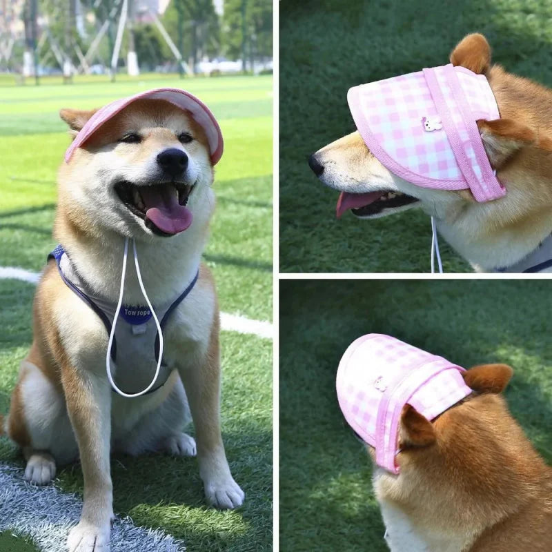 Casquette Plate Chien