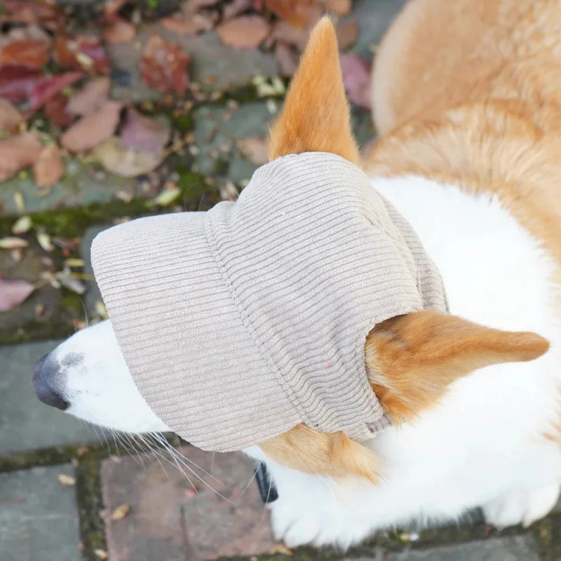 Casquette pour Chien Moyen