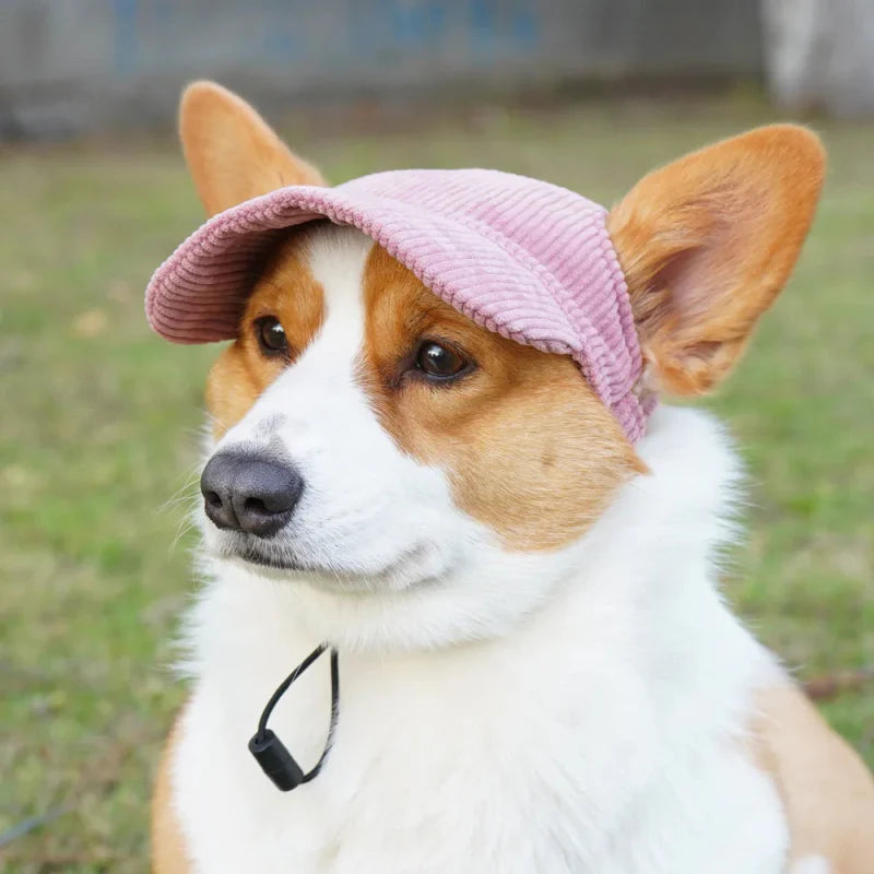 Casquette pour Chien Moyen