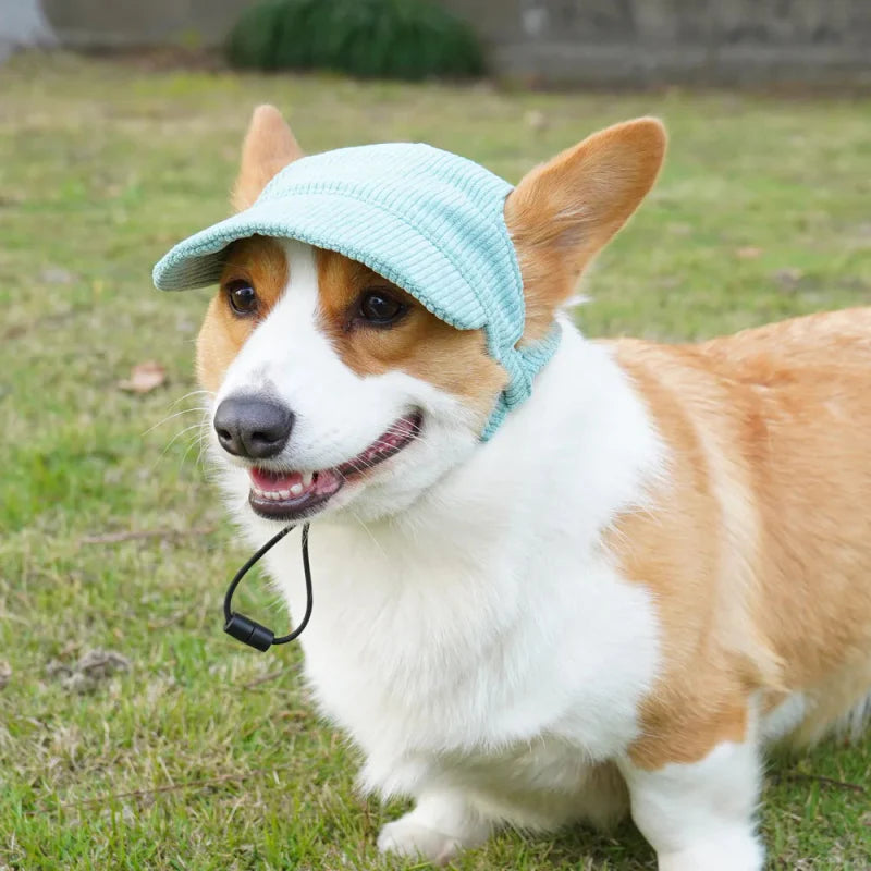 Casquette pour Chien Moyen