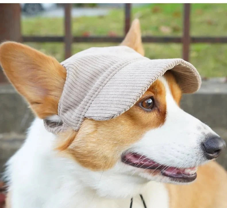 Casquette pour Chien Moyen