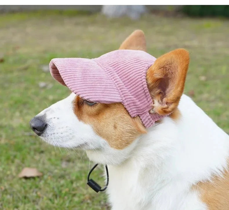 Casquette pour Chien Moyen