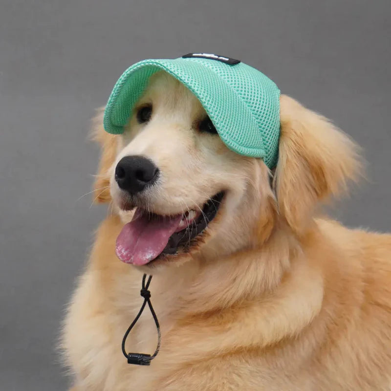 Casquette pour Golden & Grand Chien