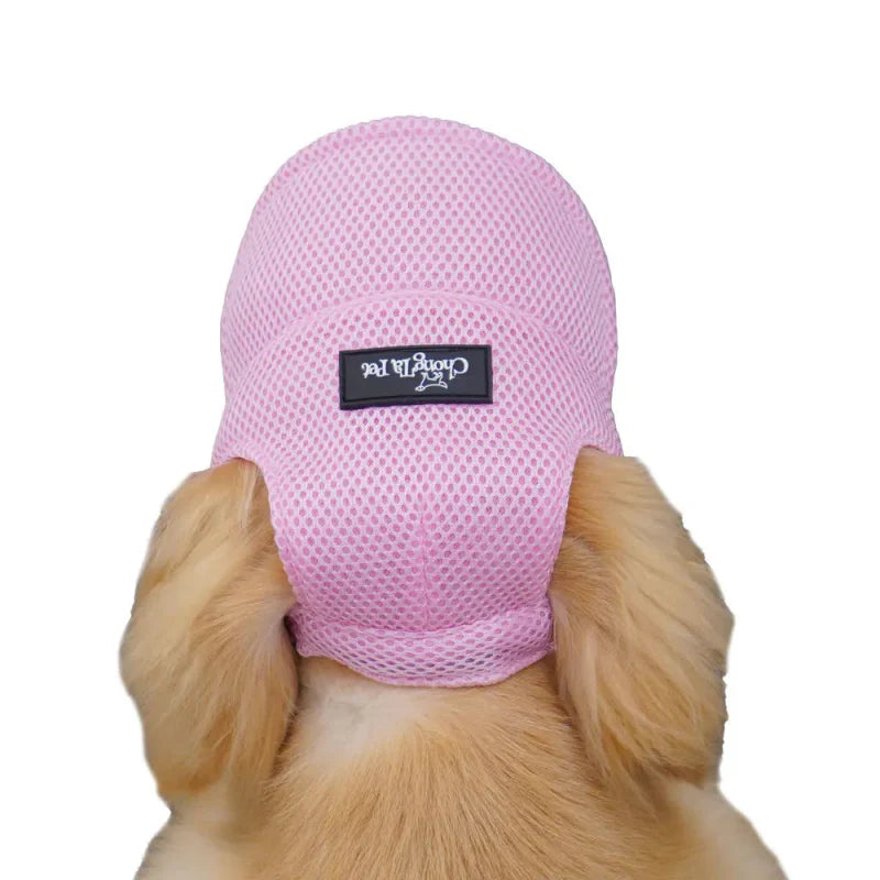 Casquette pour Golden & Grand Chien