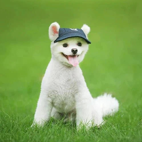 Casquette pour Golden Retriever & Moyen Chien