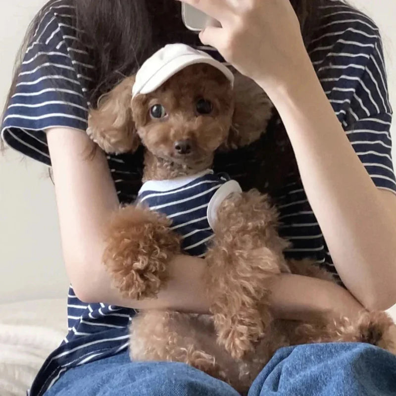 Casquette pour Teckel & Moyen Chien