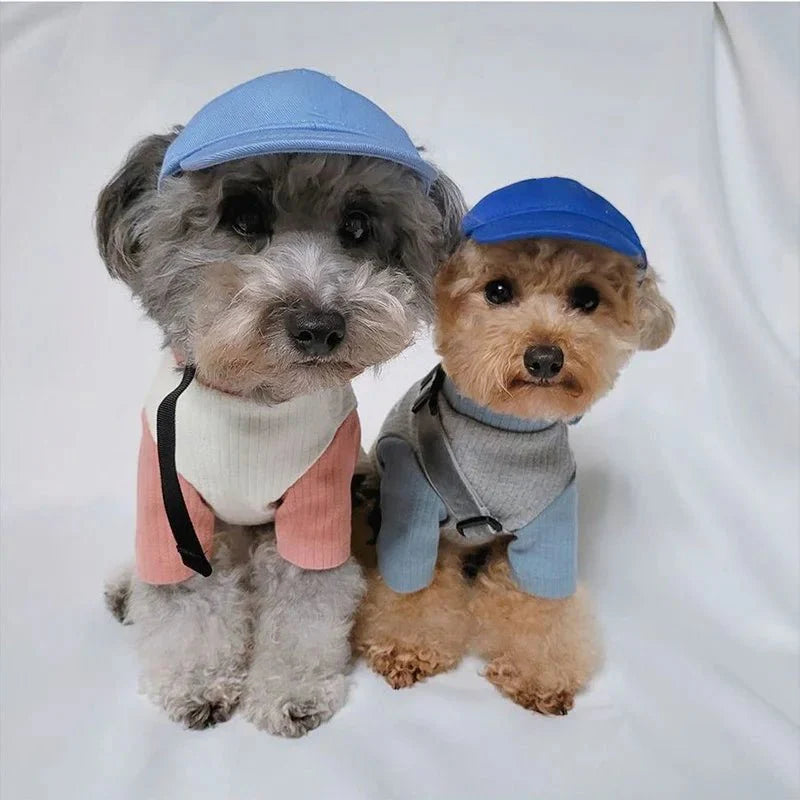 Casquette pour Teckel & Moyen Chien
