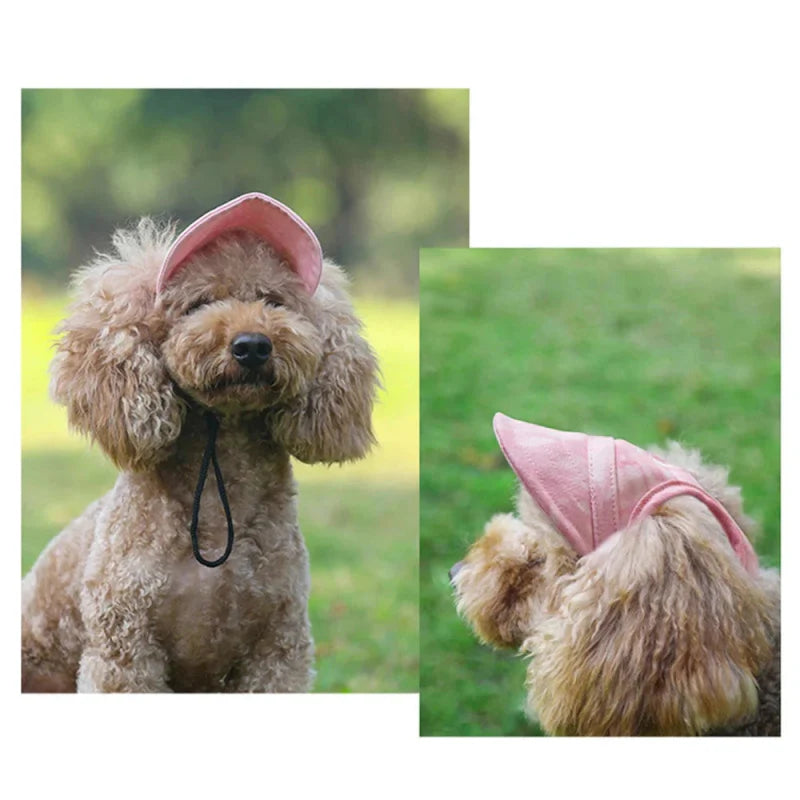 Casquette Velours pour Chien