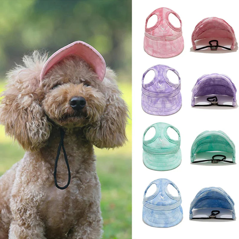 Casquette Velours pour Chien