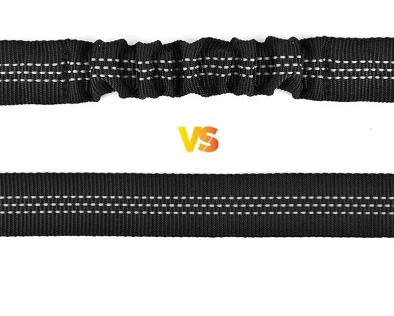 Ceinture De Sécurité Réglable Pour Chien