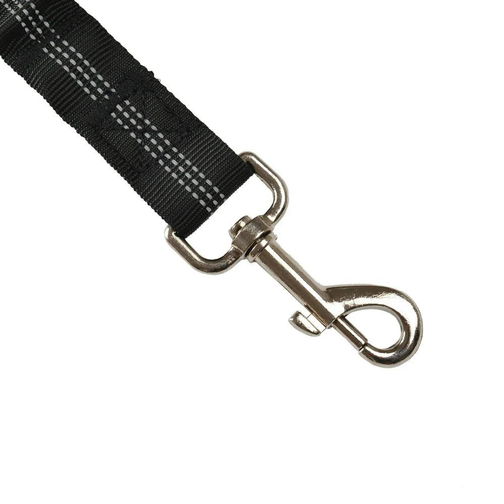 Ceinture De Sécurité Réglable Pour Chien