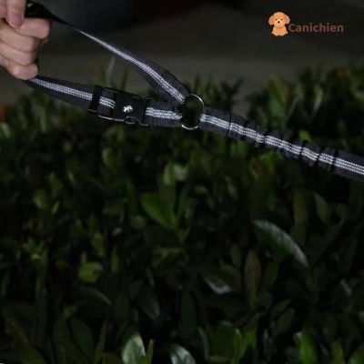 Ceinture de sécurité pour chien | PetSafe™