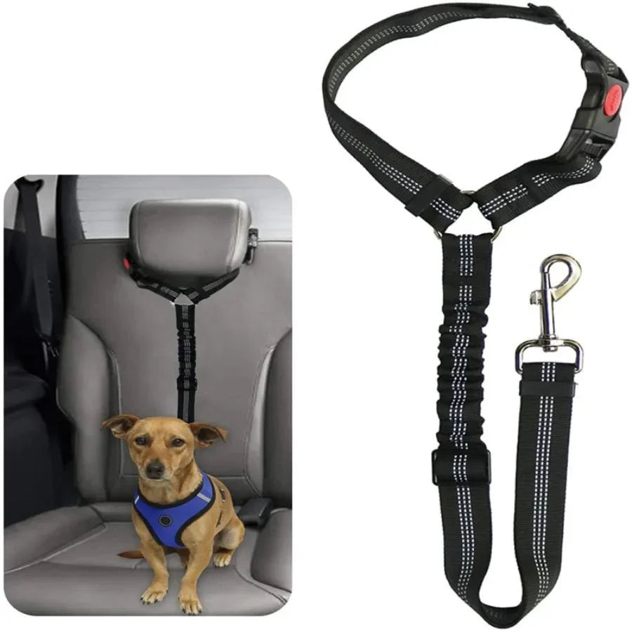 Ceinture De Sécurité Résistante Pour Chien