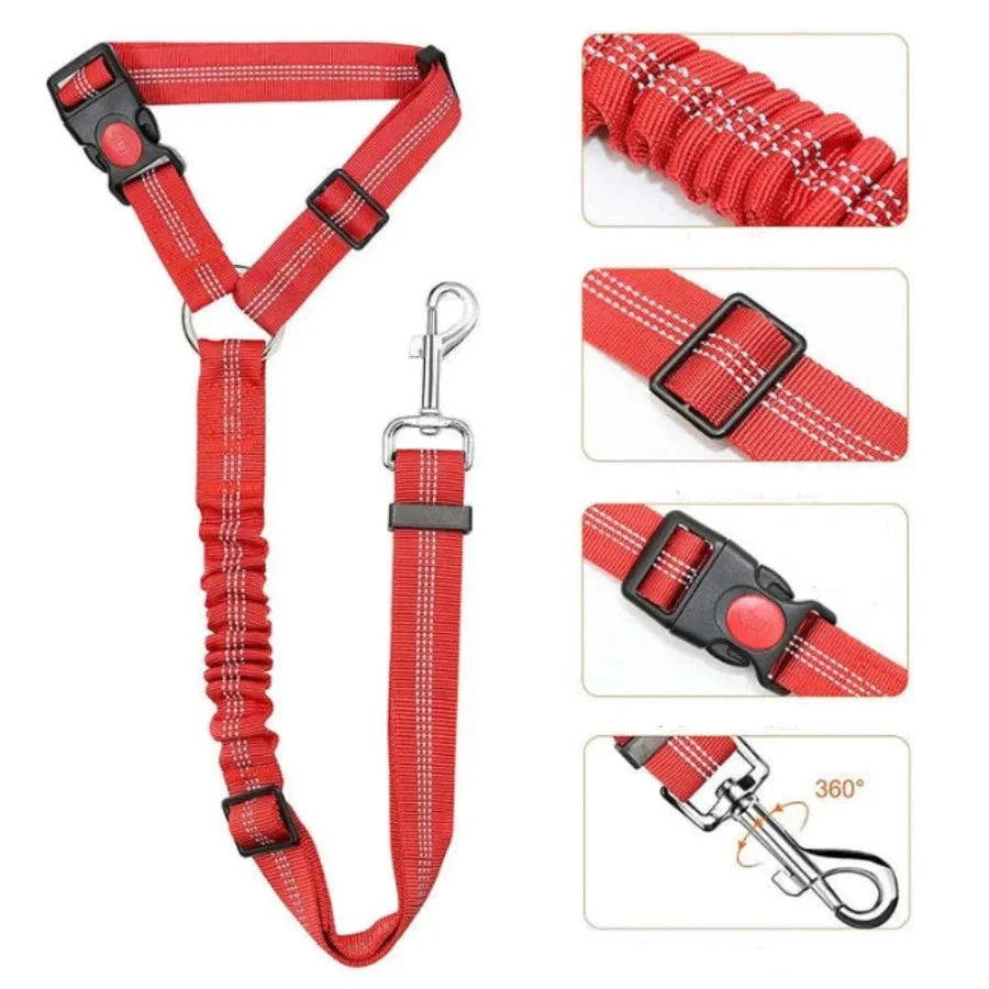 Ceinture De Sécurité Résistante Pour Chien