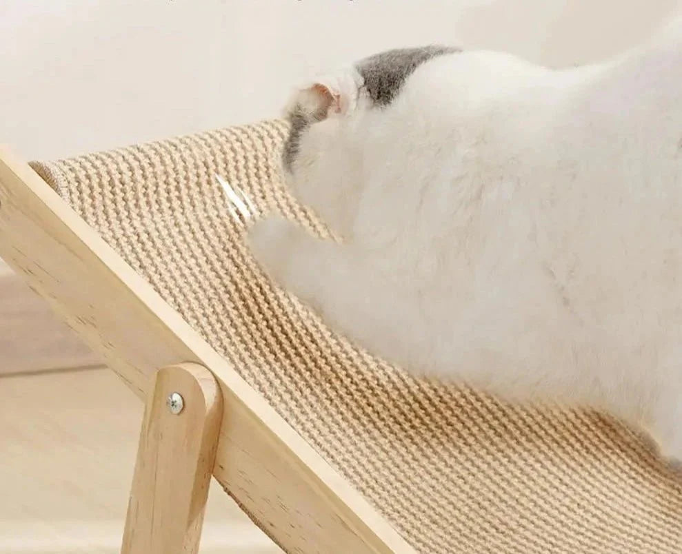 Chaise Longue pour Chat Design