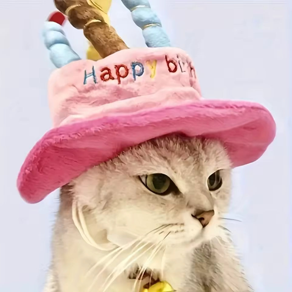 Chapeau d'Anniversaire pour Chien