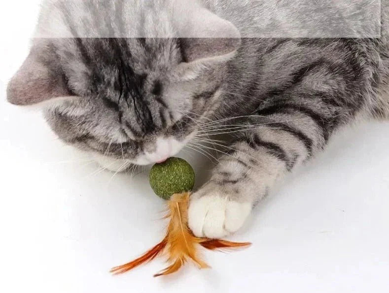 Boule Comestible Pour Chat Avec Plumes