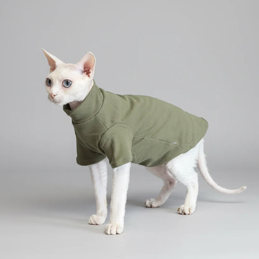 Sweat confortable pour chat en vert olive idéal pour garder votre animal au chaud