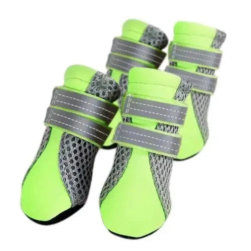 chausson marche chien vert