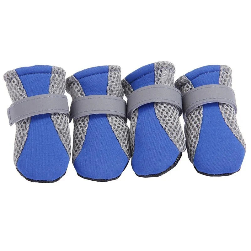 chausson marche chien bleu