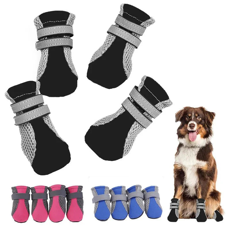 Chausson Chien Bitume & Extérieur