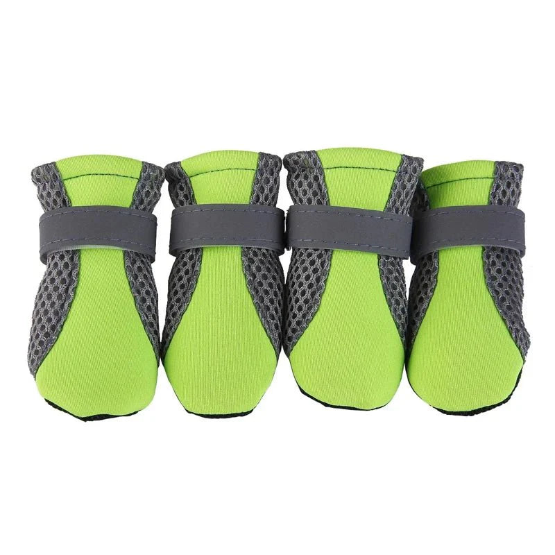 chaussure chien rando vert