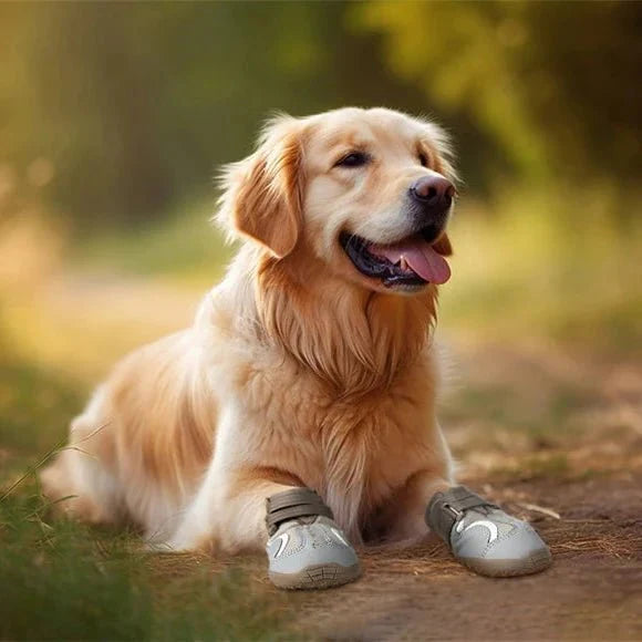 Chausson d'Intérieur Chien