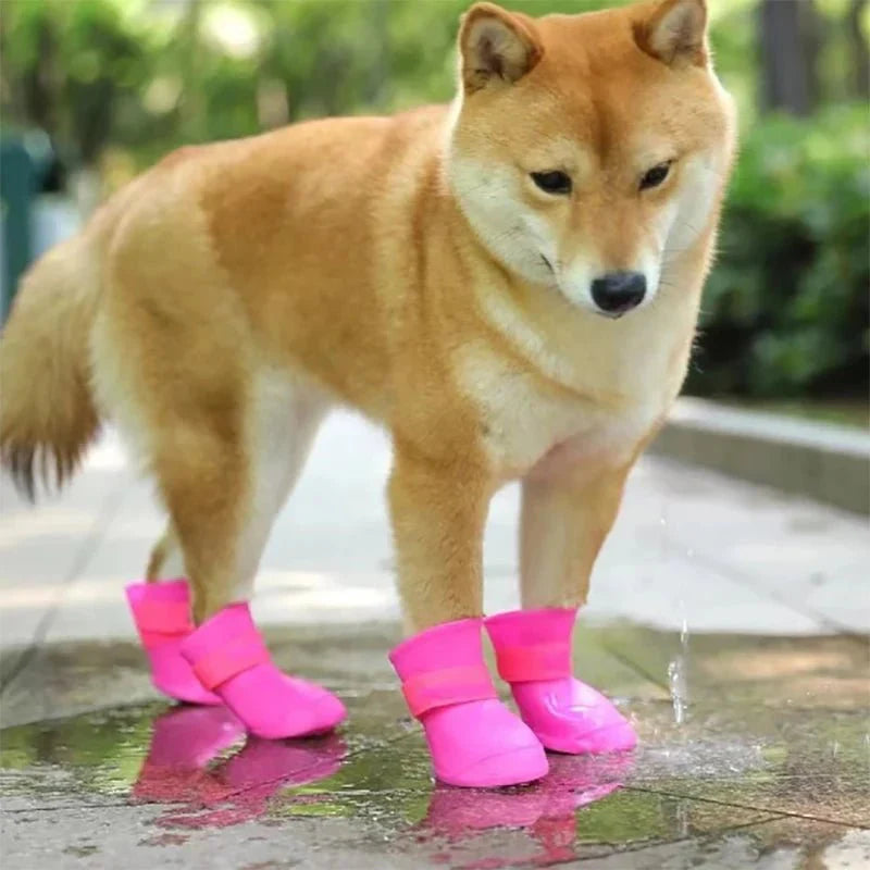 Chausson Imperméable pour Chien
