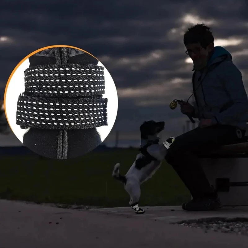 Chausson pour Chien Antidérapant