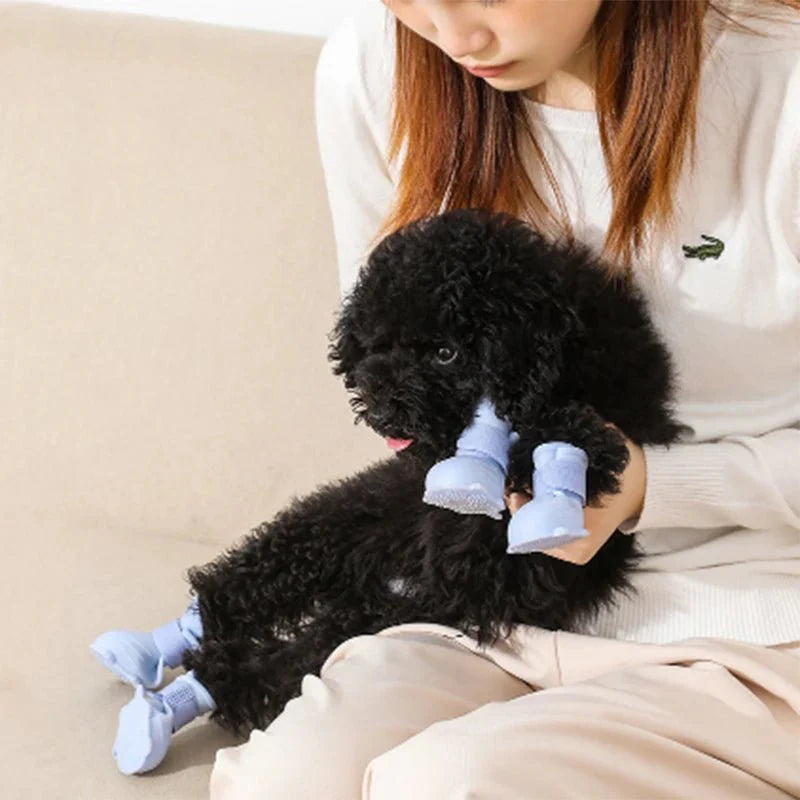 Chausson Silicone Chien