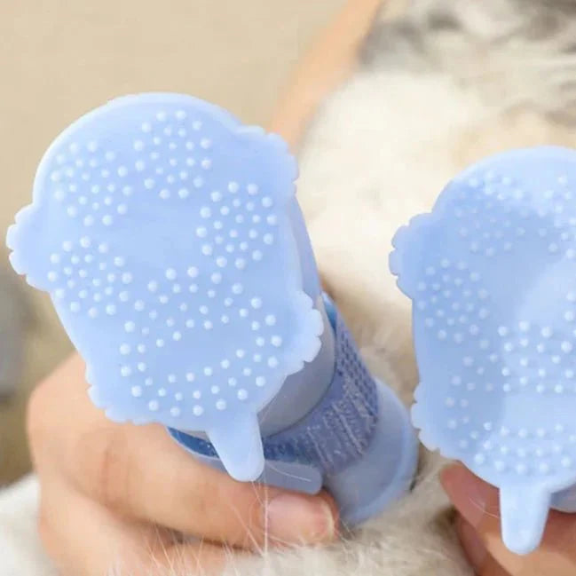 Chausson Silicone Chien