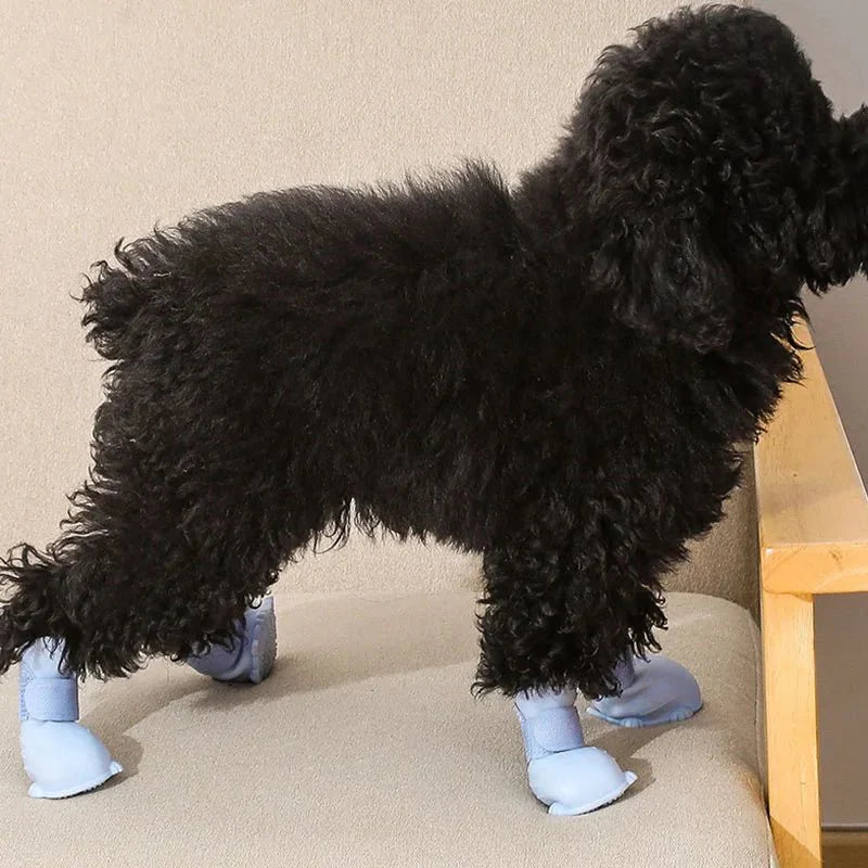 Chausson Silicone Chien