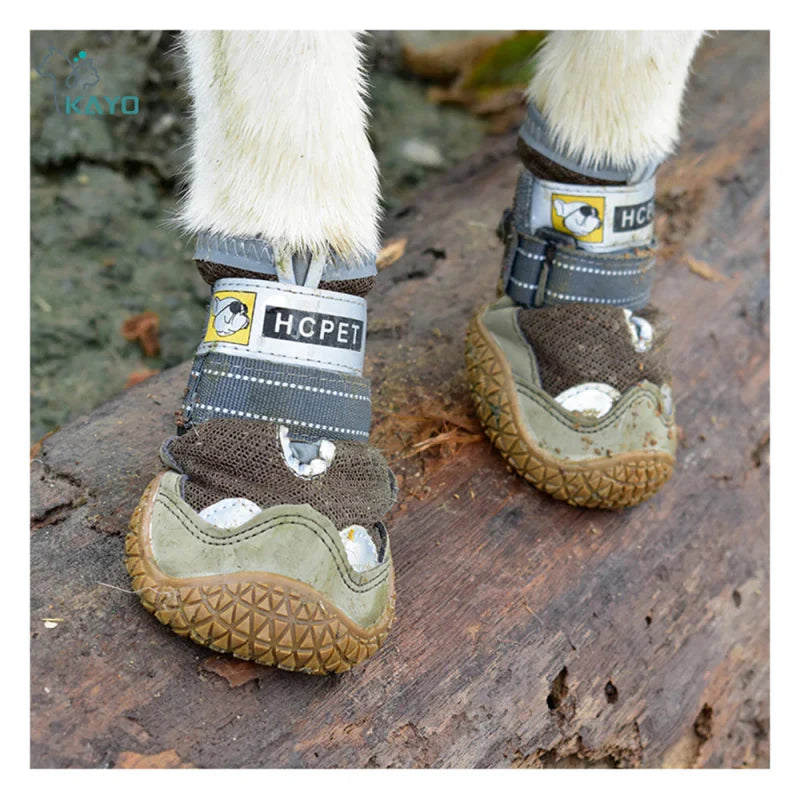 Chaussure Chien Randonnée