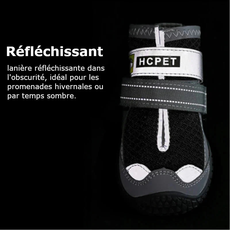 Chaussure Chien Randonnée