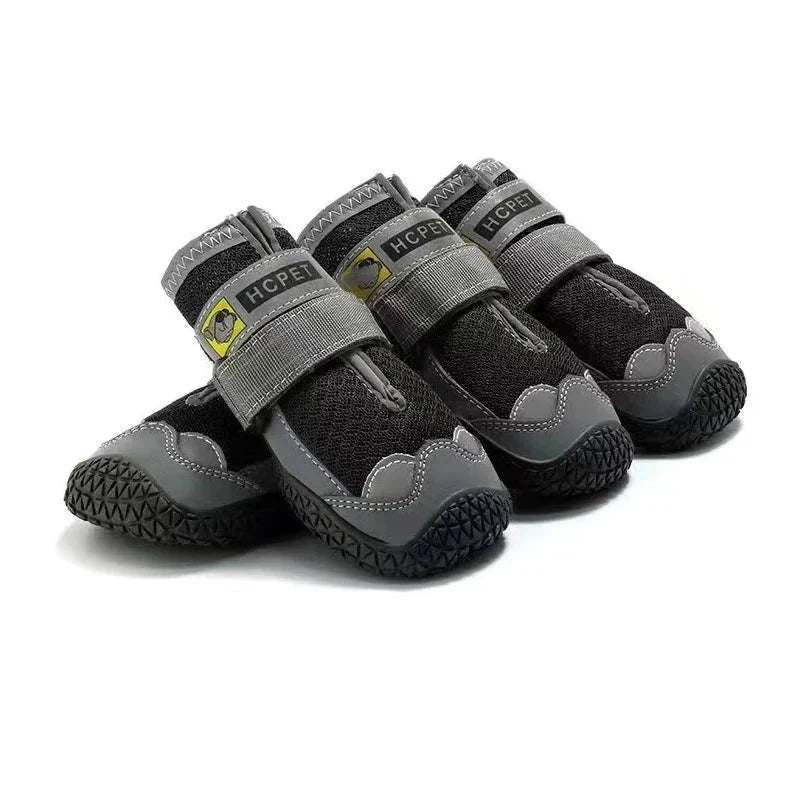Chaussure Chien Randonnée